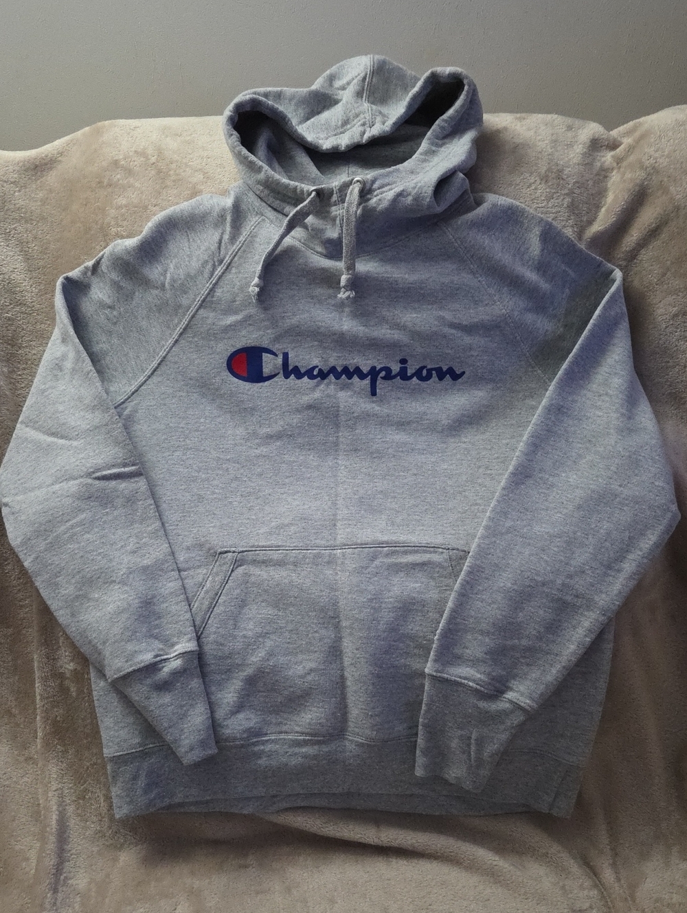 Champion Men's Light Gray Sweatshirt with Navy Logo